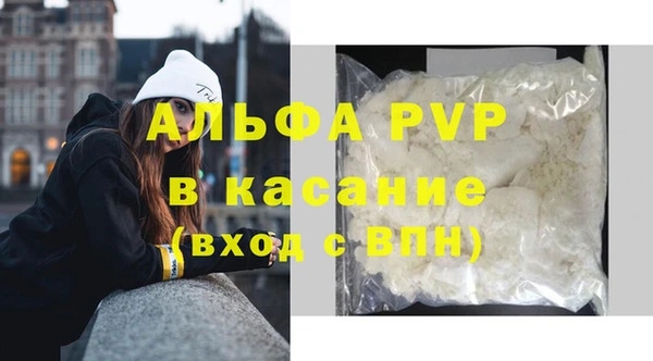 прущие грибы Домодедово