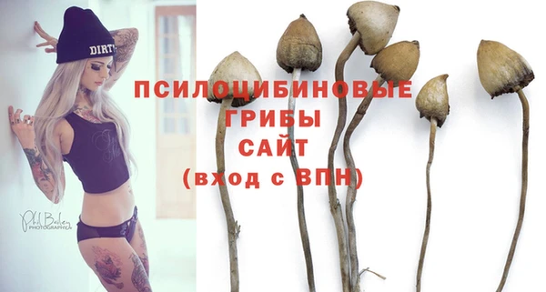 спиды Заволжск