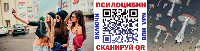 нарко площадка наркотические препараты  продажа наркотиков  Избербаш  Галлюциногенные грибы Cubensis 